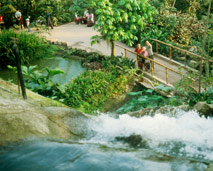 Eden Project