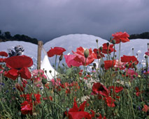 Eden Project