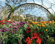 Eden Project